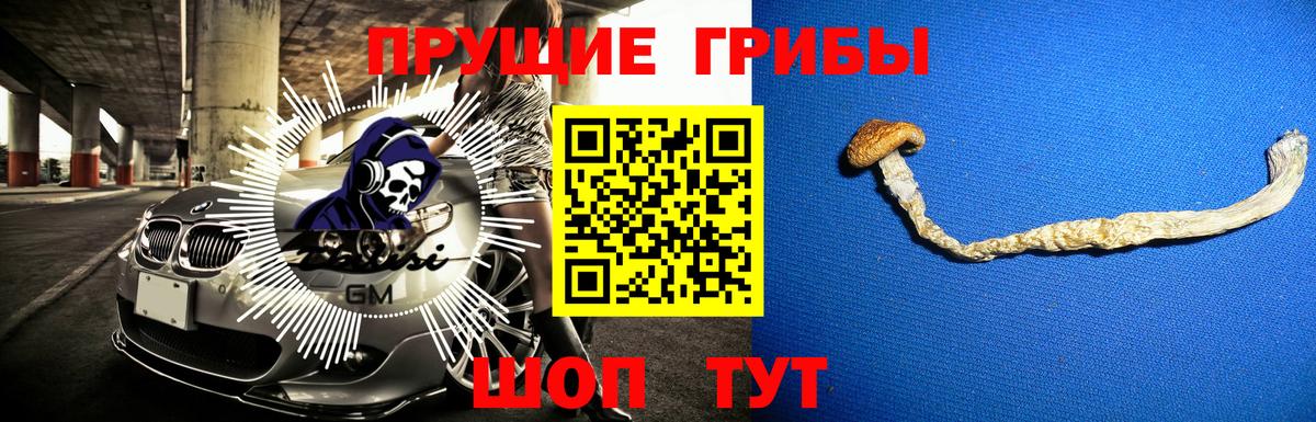 Шатура  Псилоцибиновые грибы Cubensis  сколько стоит  Вход с VPN 